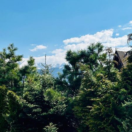 Swarny Zakatek Daire Zakopane Dış mekan fotoğraf