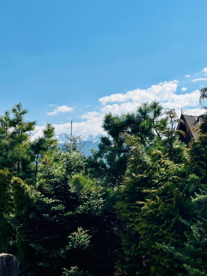 Swarny Zakatek Daire Zakopane Dış mekan fotoğraf